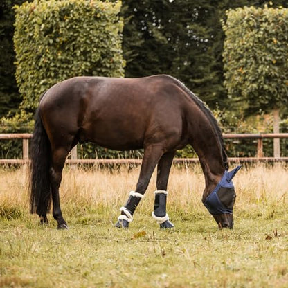 HORZE B Vertigo Quinn Brushing Boots - Dark Navy - XL