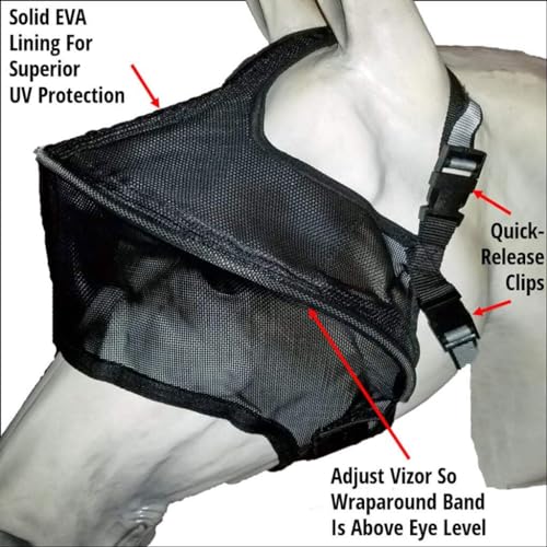 EquiVizor Solar Vizor Horse Fly Mask (Size Full), Superior UV Eye Protection to 99% for Horses with Uveitis, Photosensitivity, Ulcer, Head Shaking - size: FULL