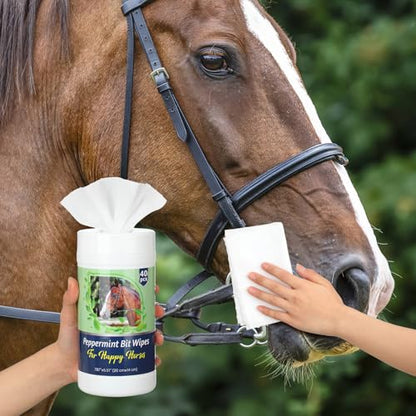 Threlaco 3 Pack Horse Bit Wipes 120 Pcs Peppermint Horse Bit Cleaners for Happy Horse Disposable Cleaning Wipes for English or Western Bits - style: Peppermint