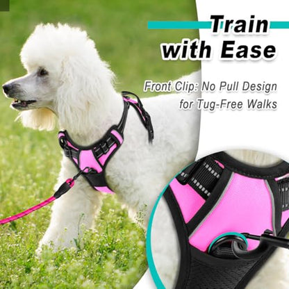 BARKBAY Dog Harness for Small Sized Dog No Pull 2 Leash Clips Dog Vest - color: Pink, size: X-Small
