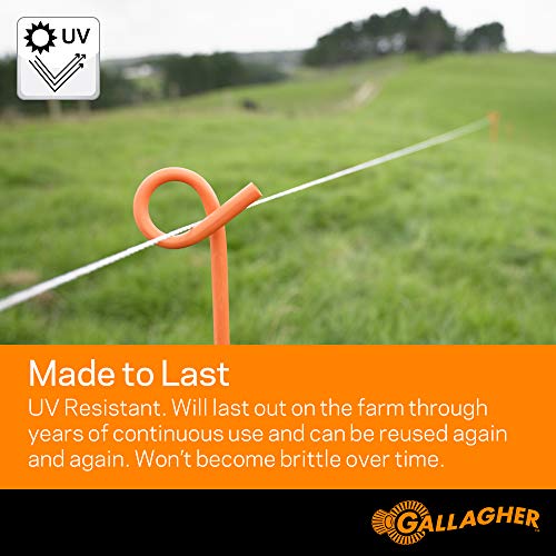 Gallagher S30 Solar Electric Fence Charger with 1,640 Ft Poly Wire | Complete Electric Fencing Kit for Livestock, Small Pastures, and Predator Control | Solar Powered Energizer with Bonus Polywire Rol