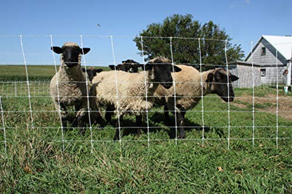 Premium Electric Sheep & Goat Netting Kit- AC Energizer (9/35/8) for Backyards, Homesteaders, and Livestock Owners