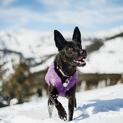 Kurgo Loft Dog Jacket, Deep Violet, Small - color: Deep Violet/Charcoal, size: Small