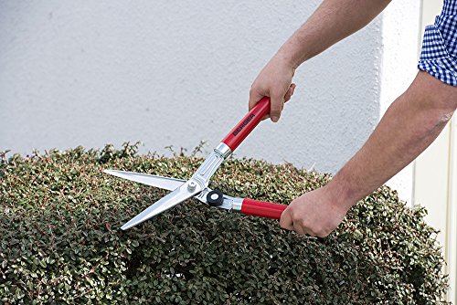 BERGER Topiary Shear 2510 with Beech Wood Handle Garden Shear with self-Sharpening Blades, Length 45 cm - size: 46.5x14.5x5 cm