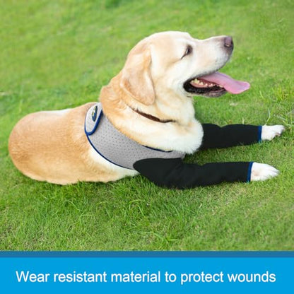 Coodeo Dog Recovery Sleeves, Cone Collar Alternative, Abrasion Resistant Dog Recovery Suit, Washable 2.5mm Thick and Waterproof, Pet Wounds Prevent Licking, Biting (Grey, M) - color: Grey, size: M