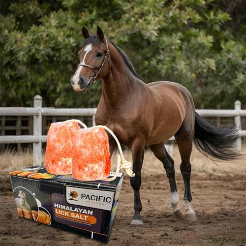 Himalayan Pink Salt Licks for Animals – Natural Salt Block with Rope for Horses, Cows, Deer & More – No Harmful Elements - Approximately 9 lbs (Pack of 2)