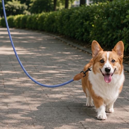 Mile High Life Dog Leash with Genuine Leather-Wrapped Ends, 4/5/6FT - color: Blue White, size: 48 Inch-1/2"
