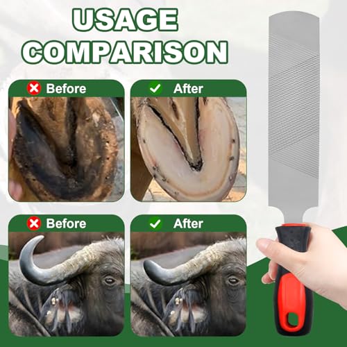 12 Inch Hoof Rasp, Carbon Steel Farrier File with Handle | Dual Sided Teeth, Hoof Trimming Tool, for Horse, Donkey, Cow, Goat & Livestock Hoof Care - size: 12 inches