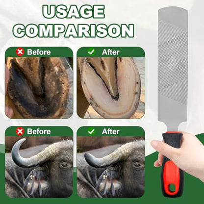 12 Inch Hoof Rasp, Carbon Steel Farrier File with Handle