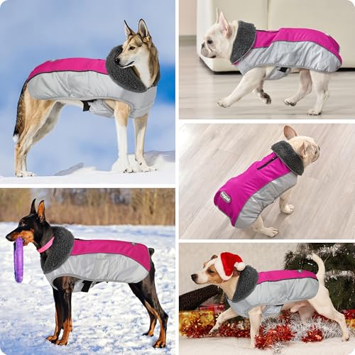 Petglad Dog Coat, Waterproof Ripstop Dog Winter Jacket with Leash Hole, Reflective Adjustable Warm Pet Fleece Snow Sweater for Small Medium Large Dogs - Rosy Red, XL - color: Rosy Red, size: XL
