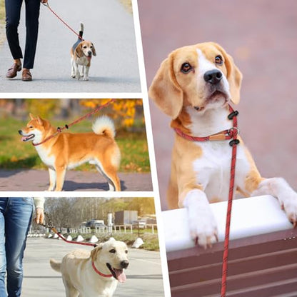 lynxking Dog Leash 3/8in x 6ft Slip Lead Reflective red and Orange, 2 Pack