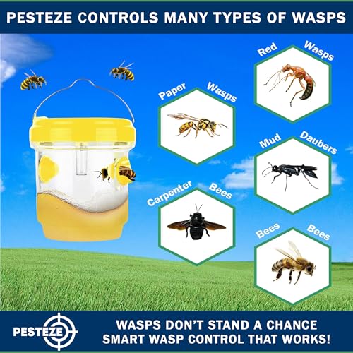 PESTEZE USA 2 Pack Reusable Solar Hanging Wasp Trap with LED Light [Yellow, 3.5×4.4 in] Attracts & Kills Wasps, Hornets, Yellow Jackets & Flying Insects Safely, Chemical-Free, Waterproof Outdoor Trap