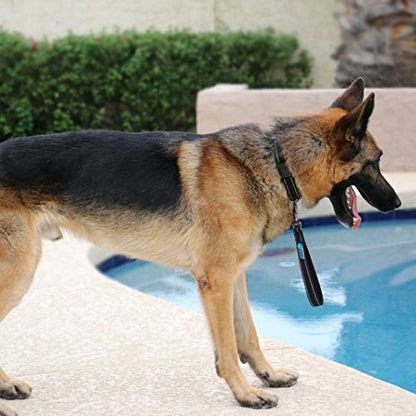 Max and Neo Short Traffic Leash 10" - We Donate One for One a Dog Rescue for Every Leash Sold (Red) - color: RED