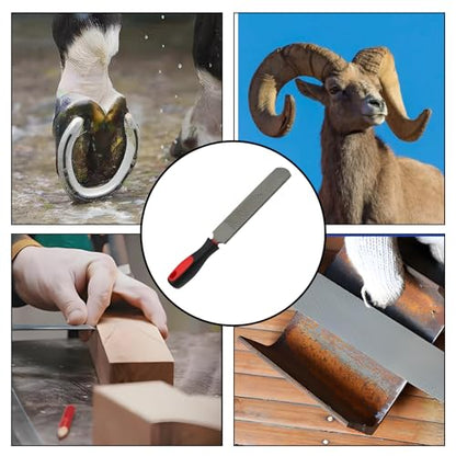 Double-Sided Hoof Rasp, 12'' Farrier File Tool with Ergonomic Rubber Handle, Carbon Steel Horseshoe File for Trimming Horse Goat Cow Donkey Hooves – Heavy-Duty Animal Hoof Care Tool - size: 12''
