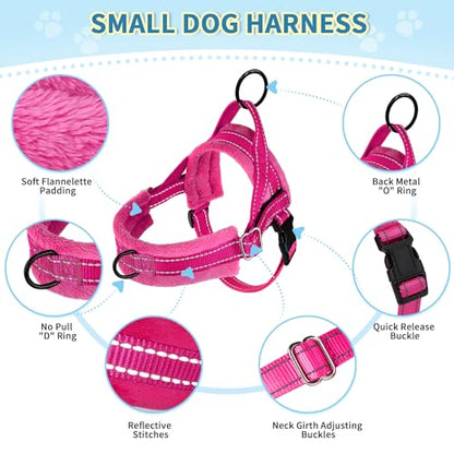SlowTon No Pull Small Dog Harness and Leash Set with Front Clip | Soft Padded, Neck & Chest Adjustable, Lightweight, Anti-Twist, Puppy Vest Harness Pet Lead Combo for Small Medium Dog, FU XXS - color: Fuchsia, size: XX-Small