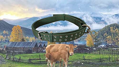 Adjustable Four-Layer Nylon Thickened Cow Collar with 2-Rows Metal Buckle and Ring Metal Buckle Traction Chain for Horse, Sheep, Cattle, Dog, Camel (49.2inch) - color: 49.2inch