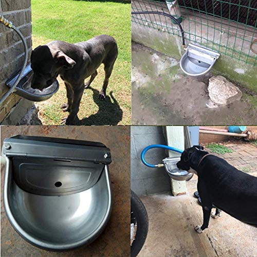 Automatic Cattle Waterer Stainless Steel Dog Water Bowl Outdoor & Indoor