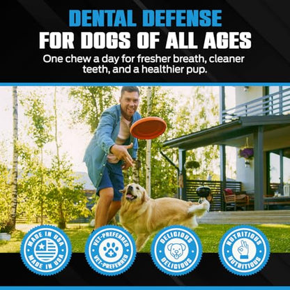 K10 Dental Chews for Dogs, Supports Dental & Oral Wellness, 60 Count - style: Dental Chews 60 Count