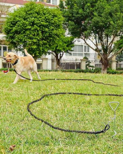 Joytale Long Dog Leash for Yard Tie Out & Recall Training, Black, 30FT - color: Black, size: 30FT