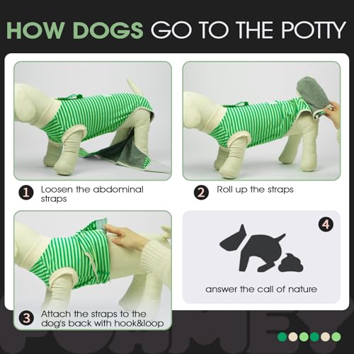 FUAMEY Dog Recovery Suit Male,Dogs Surgery Neuter Suits Puppy Spay Shirts for Female Protect Dog's Skin Anti Licking Abdominal Wounds Doggie Onesie Pet Bodysuit Alternative to Cone Green Stripes XS - color: Green Stripes, size: Xs(back:8.3-11.4in,wt:4-7lb