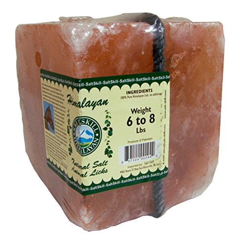 Himalayan Salt Brick Lick for Horses, 6-8 Lbs