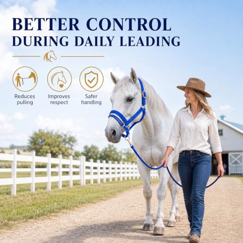 Abbylike Dually Style Horse Training Halter, Blue Bitless Pony Control Headcollar, Humane Pony Behavior Correction Tool for Leading, Training, Adjustable Equine Equipment - size: L,Warmblood