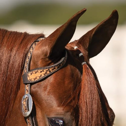 Schneiders Black Edged Ribbon Tooled One Ear Headstall | Elegant Argentine Leather | Rust-Resistant Hardware | Horse Headstall for Work, Ranch, and Trail Riding | Size Full Horse