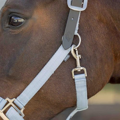 Equinavia Loki Adjustable Breakaway Horse Halter - Sweet Blue - Cob - color: Sweet Blue, size: Cob