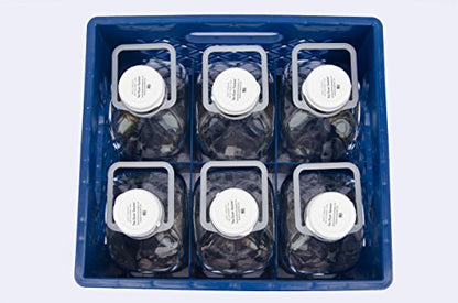 Plastic Crates for Glass Milk Bottles Commercial Duty (2 Qt, 6 cell) - size: 2 Qt, 6 cell