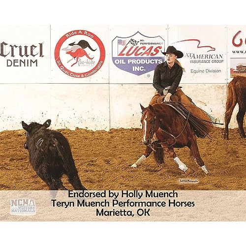 Western Felt Saddle Pad| Powerful Ceramic Therapy | Enhances Circulation | Aids Recovery & Prevents Injury | Soothes Sore Backs | Ideal for Work or Under Navajo Horse Saddle Pad