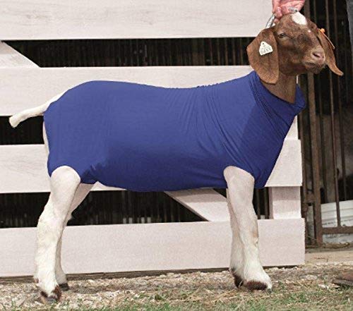 Weaver Leather Spandex Goat Tube - color: Blue, size: Large