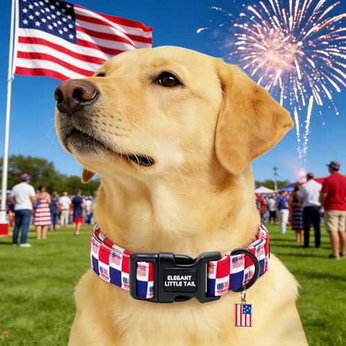 Elegant Little Tail 4th of July Dog Collar with Pendant, American Dog Collars Patriotic Red White Blue Pattern, Sturdy Quick-Release Plastic Buckle Adjustable Pet Collar for X-Small Dogs - color: Independence-CheckeredAmericanFlag, size: X-Small (Pack of