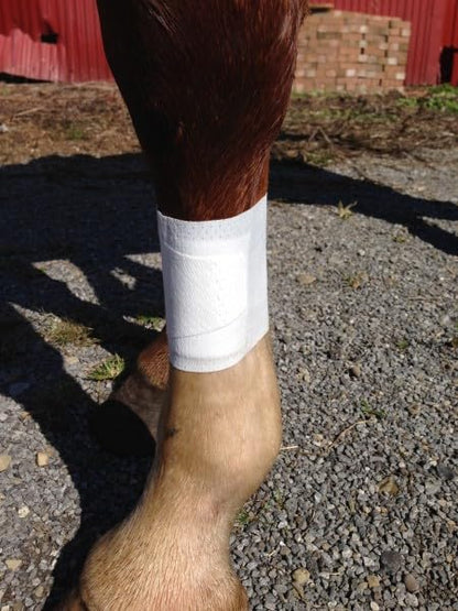 Equine BandaFlex Non-Adhesive, Disposable, Washable and Reusable Bandages (Small) - size: Small
