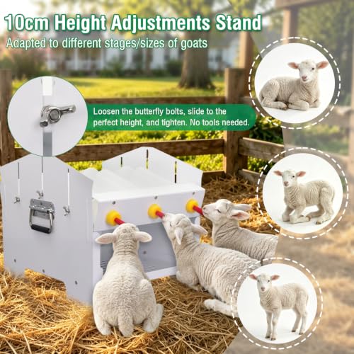 6 Feeding Ports Goat Bottle Feeder Rack with 6 x 500ml Milk Bottles | Double Sided,Free Standing,Portable Lamb Bottle Holder,Galvanized Goat Bottle Feeder Rack For Baby Goats Lambs Piglet Puppy