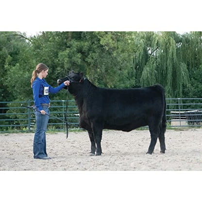 Weaver Livestock Leather Magic Show Cattle Halter, Adjustable, Modern Style Cow Calf Halter, Livestock Handling Equipment for Showing, Black