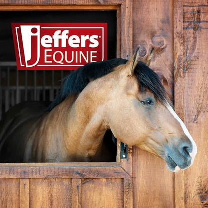 Jeffers Equine Braided Mule Tape Halter with 10' Detachable Lead Rope Set for Horses, 14 to 18 Hands - Stylish Design with Adjustable Poll Strap, Easy to Use Western Tack - Yellow - color: Yellow