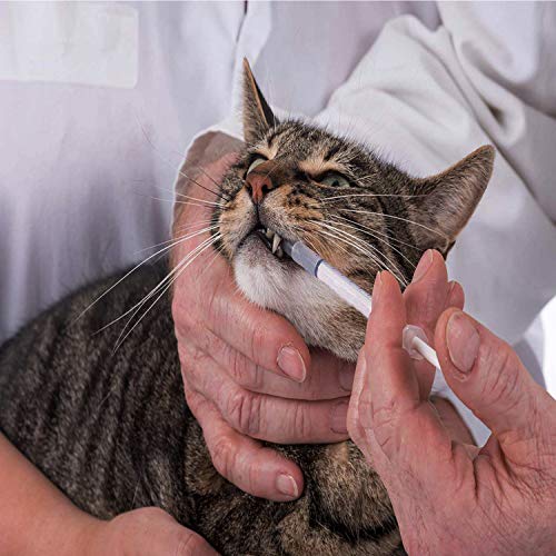 100PCS 1ml 1cc Syringe No Needle Plastic Syringe for Pets Oral, Refilling