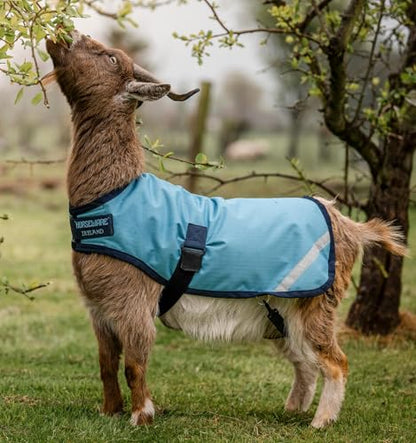 Horseware® Goat Coat (100g Light) - color: Delphinium Blue/Navy, size: S