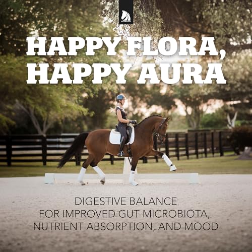 Daily Gold Stress Relief – Natural Digestive and Ulcer Supplement for Horses - size: 25 lb