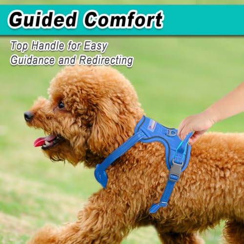 BARKBAY Dog Harness for Small Sized Dog No Pull Mesh 2 Clips Dog Vest - color: Blue-Mesh, size: X-Small