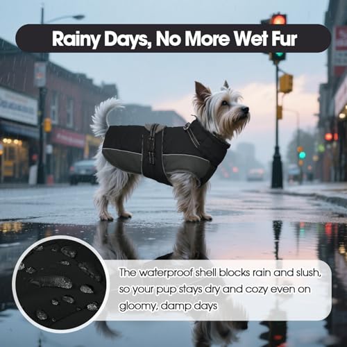 QBLEEV Warm Dog Jacket, Waterproof Dog Winter Coat with Harness - color: Black, size: Small