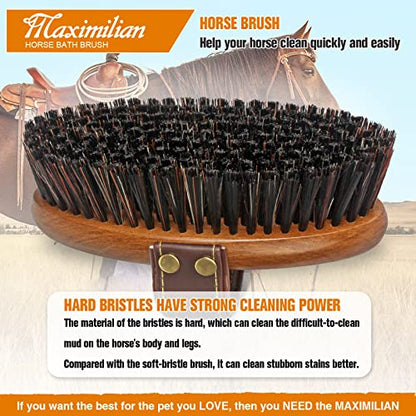 MAXIMILIAN Handmade Horse Brush Professional Horse Brushes for Grooming | 4cm Boar&PP Bristles,Beech Wood Brush Back,Double-Layer Belt,Horse Finishing Brush,Effective Remove Loose Hair Dust Dirt Mud