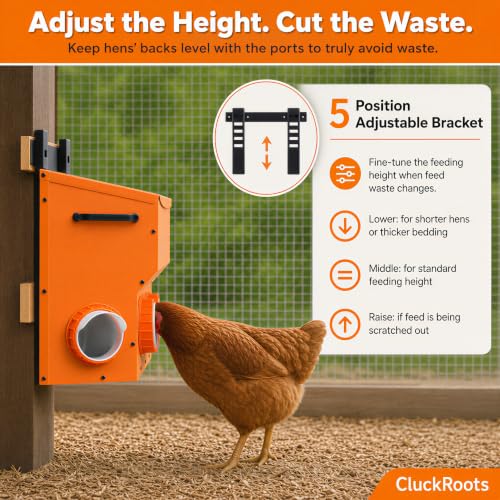 CluckRoots Metal Chicken Feeder 16-18 Lb No Waste Hanging Feeder