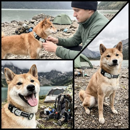 Tuff Pupper Premium Adjustable Dog Collar, Stylish Pattern Collars Designed in USA, Quick Release Buckle, Primitive Paleo Small (0.7 Inch Wide x 8-12 Inch Neck) - color: Primitive Paleo, size: Small