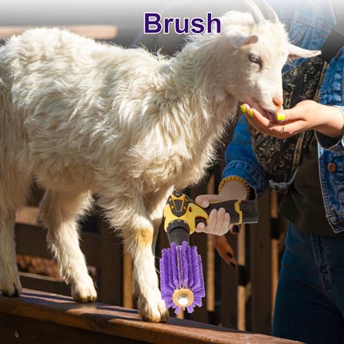 Willinglong 2 Pcs Livestock Drill Scratch Brush 5.35" Horse Cattle Grooming