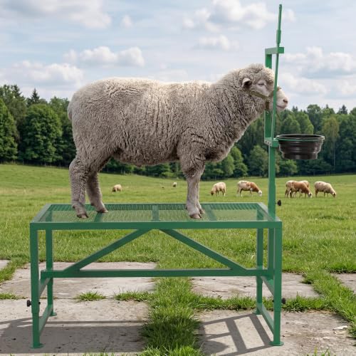 Heavy-Duty 400LBS Goat Milking Stand, Livestock Grooming Table