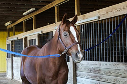 Tack Shack of Ocala Nylon Quick Release Cross Ties, Set of 2, Cross Ties for Barn, Stable Supplies - color: Navy