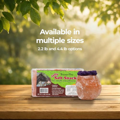 Horsemen's Pride Himalayan Salt Block on Rope for Horses, 4.4 Pounds, SS44