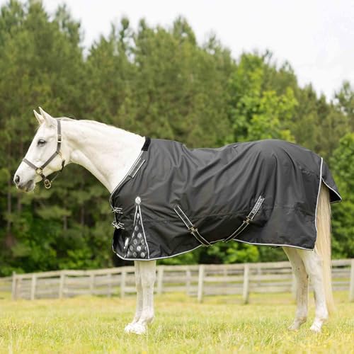 Equinavia Norse Fleece Lined Turnout Blanket - Black - 75 in - color: Black, size: 75 in