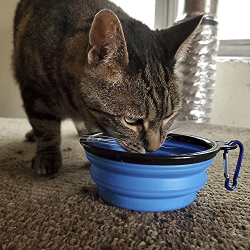 Ultimate Emergency Kit for Cats - with Carrier